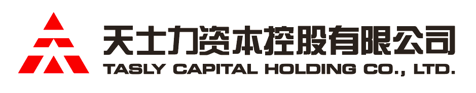 鼎盛国际资本控股有限公司